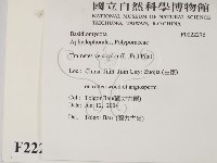 雲芝藏品圖，第2張