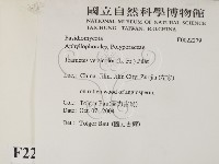 雲芝藏品圖，第2張