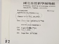 雲芝藏品圖，第2張