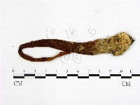 登錄號:F0022284藏品圖，第1張