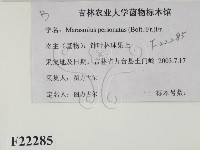 登錄號:F0022285藏品圖，第2張