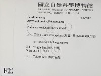 雲芝藏品圖，第2張