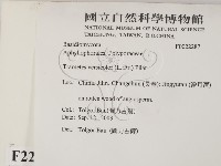 雲芝藏品圖，第2張