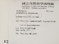 雲芝藏品圖，第2張