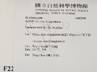 雲芝藏品圖，第2張