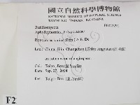 登錄號:F0022291藏品圖，第2張