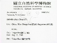 登錄號:F0022294藏品圖，第2張