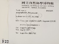 雲芝藏品圖，第2張