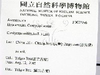 登錄號:F0022296藏品圖，第2張