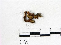 登錄號:F0022296藏品圖，第1張