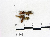 登錄號:F0022296藏品圖，第3張