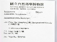 毛木耳藏品圖，第2張