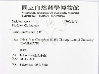 登錄號:F0022298藏品圖，第2張
