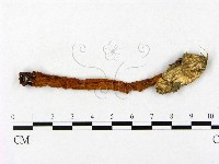 登錄號:F0022298藏品圖，第1張