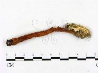 登錄號:F0022298藏品圖，第3張