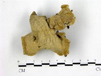 毛木耳藏品圖，第3張