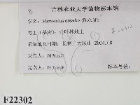 登錄號:F0022302藏品圖，第2張