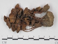 登錄號:F0022302藏品圖，第3張