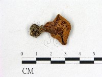 登錄號:F0022303藏品圖，第3張