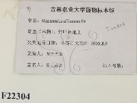 登錄號:F0022304藏品圖，第2張