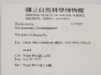 登錄號:F0022307藏品圖，第2張