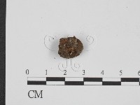 登錄號:F0022307藏品圖，第3張