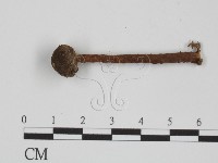 登錄號:F0022307藏品圖，第4張