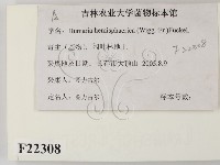 登錄號:F0022308藏品圖，第2張