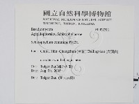 裂褶菌藏品圖，第2張