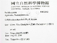 登錄號:F0022312藏品圖，第2張