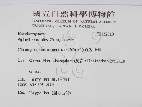 登錄號:F0022313藏品圖，第2張