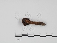 登錄號:F0022313藏品圖，第3張