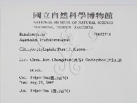 登錄號:F0022314藏品圖，第2張