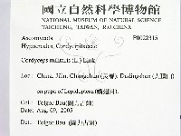 登錄號:F0022315藏品圖，第2張