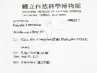 登錄號:F0022316藏品圖，第2張