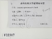 登錄號:F0022317藏品圖，第2張