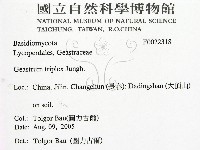 登錄號:F0022318藏品圖，第2張