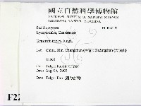 登錄號:F0022319藏品圖，第2張