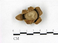 登錄號:F0022319藏品圖，第1張