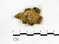 登錄號:F0022319藏品圖，第3張