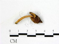 登錄號:F0022320藏品圖，第3張