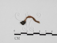 登錄號:F0022321藏品圖，第1張