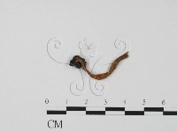 登錄號:F0022321藏品圖，第3張