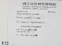 雲芝藏品圖，第2張