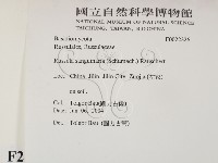 登錄號:F0022326藏品圖，第2張