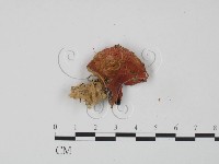 登錄號:F0022326藏品圖，第1張