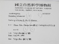 登錄號:F0022327藏品圖，第2張