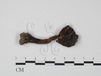 登錄號:F0022327藏品圖，第3張