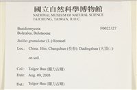 登錄號:F0022327藏品圖，第4張