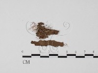 登錄號:F0022328藏品圖，第3張